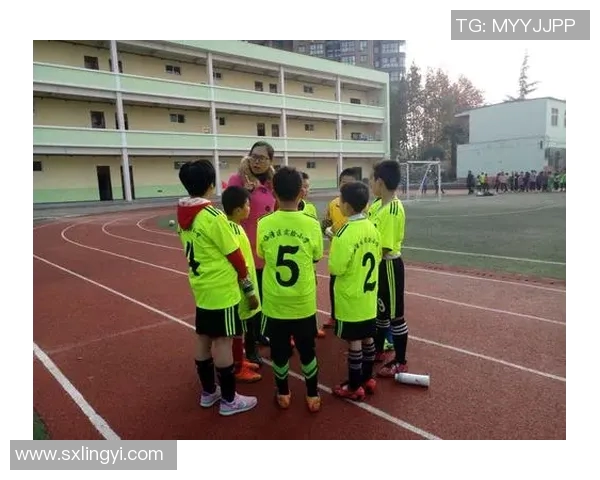 小球足球星的成长历程与赛场风采全面解读 小球足球星的成长历程与赛场风采全面解读